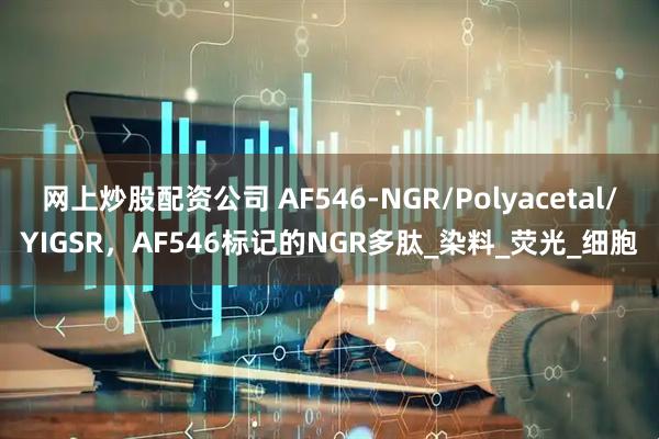 网上炒股配资公司 AF546-NGR/Polyacetal/YIGSR，AF546标记的NGR多肽_染料_荧光_细胞